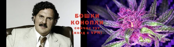 Альфа ПВП Кукмор