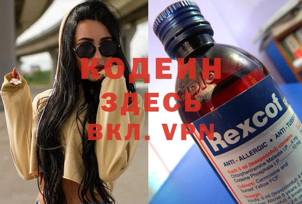 сатива Куйбышев