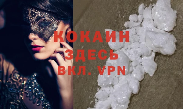сатива Куйбышев