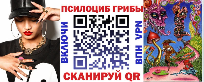 Купить закладки  Боровск  Галлюциногенные грибы Psilocybe 